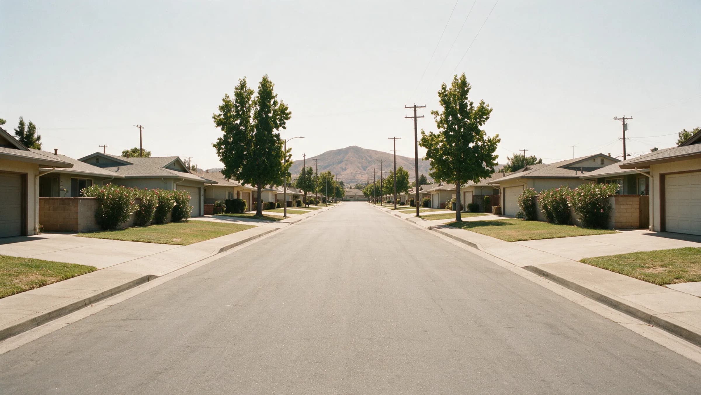 A straight street of identical single-story tract houses with attached garages and oleander hedges in Concord, California, Mount Diablo at the end of the road in midday sun